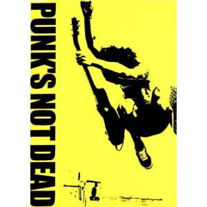PUNK’S NOT DEAD SPECIAL BOXの買取情報