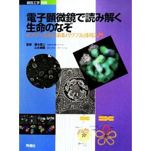 電子顕微鏡で見る生命の謎の高価買取価格