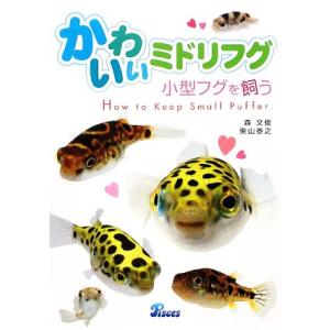 ペット フグの商品一覧 通販 Yahoo ショッピング