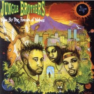 ジャングル ブラザーズ／ダン バイ ザ フォースズ オブ ネイチャー