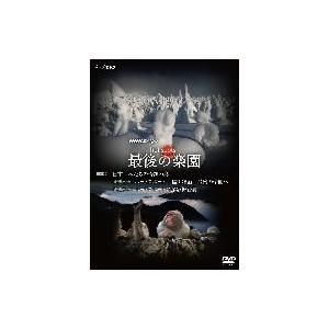 NHKスペシャル ホットスポット DVDの高価買取価格