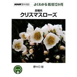 趣味の園芸　原種系クリスマスローズ よくわかる栽培１２か月 ＮＨＫ趣味の園芸／野々口稔【著】