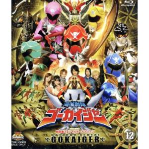 スーパー戦隊シリーズ 海賊戦隊ゴーカイジャー Vol.12 超全集スペシャルボーナスパック(初回生産...