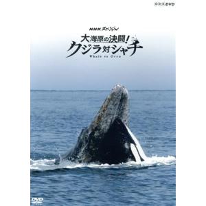 NHKスペシャル クジラ対シャチの買取情報
