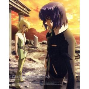 機動戦士ガンダムSEED DESTINY HDリマスター Blu-ray BOX2(初回限定版)(B...