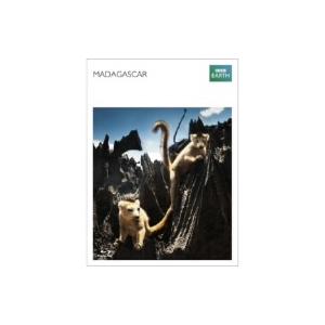 マダガスカル 完全版の買取情報