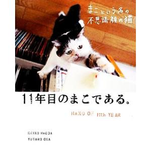 まこという名の不思議顔の猫 11年目のまこである。/前田敬子,岡優太郎【著】　