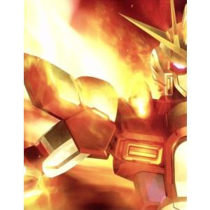 ガンダムビルドファイターズトライ Blu-ray BOX 1 スタンダード版(Blu-ray Dis...