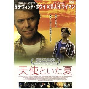 ラブリラン DVD-BOX/中村アン,古川雄輝,片瀬那奈,天沢アキ(原作),飯田