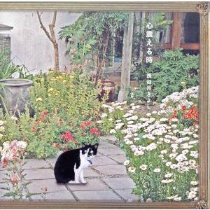 心震える時/長谷川きよし