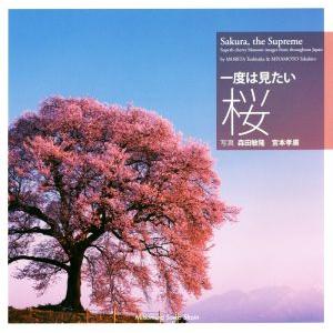 写真集　一度は見たい桜／森田敏隆(その他),宮本孝廣(その他)