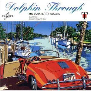 DOLPHIN THROUGH/THE SQUA...の商品画像