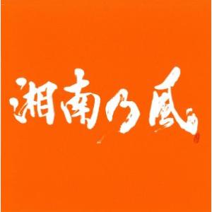 湘南乃風　〜ＣＯＭＥ　ＡＧＡＩＮ〜（初回限定盤）（ＤＶＤ付）／湘南乃風