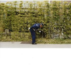 グッド・ラック・アンド・ドゥ・ユア・ベスト/ゴールド・パンダ