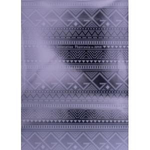 GIRLS’ GENERATION -Phantasia-in JAPAN/少女時代