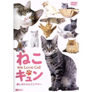 カネコアヤノ kanekoayano 群れたち レコード LP アナログ盤 500枚限定