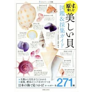 美しい貝図鑑&amp;採集ガイド 大人のフィールド図鑑/池田等(著者)