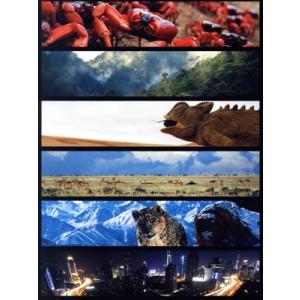 プラネットアースII 1の買取情報