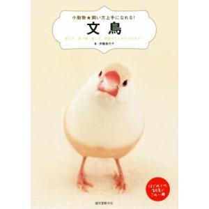 文鳥 育て方、食べ物、接し方、病気のことがすぐわかる！ 小動物★飼い方上手になれる！/伊藤美代子(著...