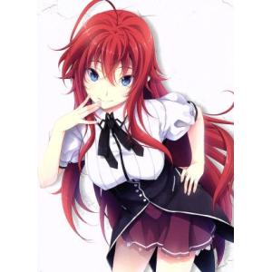 ハイスクールD×D HERO 第4期 全13話 DVD アニメ 輸入版 : Ecoma