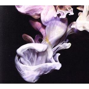 マーマレーションズ/シミアン・モバイル・ディスコ