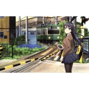 青春ブタ野郎はバニーガール先輩の夢を見ない 1(完全生産限定版)(Blu-ray Disc)/鴨志田...