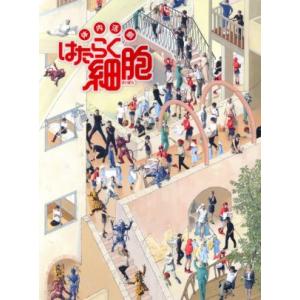 体内活劇「はたらく細胞」(完全生産限定版)/和田雅成,七木奏音,君沢ユウキ,清水茜(原作)