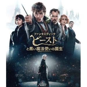 ファンタスティック・ビーストと黒い魔法使いの誕生　ブルーレイ＆ＤＶＤセット（Ｂｌｕ−ｒａｙ　Ｄｉｓｃ...