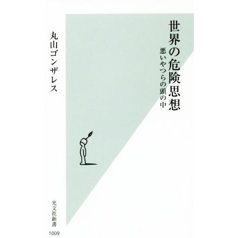 世界の危険思想 悪いやつらの頭の中 光文社新書/丸山ゴンザレス(著者)