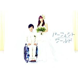 パーフェクトワールド Blu-ray BOX(Blu-ray Disc)/松坂桃李,山本美月,瀬戸康史,有賀リエ(原作),菅野祐悟(音楽)