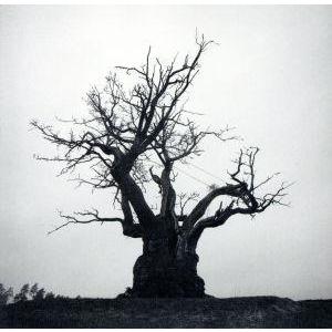Sekai no owari 世界の終わり 黒EARTH CD : スターアップストア - 通販