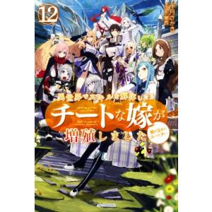 異世界でスキルを解体したらチートな嫁が増殖しました(12) 概念交差のストラクチャー カドカワBOO...