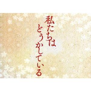 日本テレビ水曜ドラマ「私たちはどうかしている」DVD-BOX/浜辺美波,横浜流星,高杉真宙,岸井ゆき...