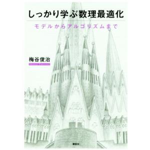しっかり学ぶ数理最適化 モデルからアルゴリズムまで/梅谷俊治(著者)
