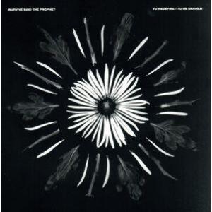 To Redefine/To Be Defined(完全生産限定盤)(2CD+DVD)/Surviv...