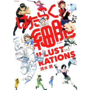 はたらく細胞ILLUSTRATIONS/清水茜(著者)