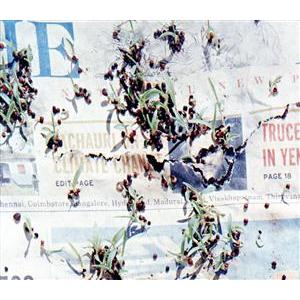 Official髭男dism　Editorial　BluRay Editorial(Blu-ray Disc付)/Official髭男dism : ブックオフ2号館