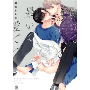 躾けてとかして暴いて愛でて シャルルC/桐式トキコ(著者)