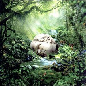 【輸入盤】SZNZ:SPRING/ウィーザー