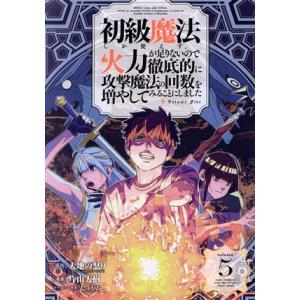 初級魔法しか使えず、火力が足りないので徹底的に攻撃魔法の回数を増やしてみることにしました(volum...
