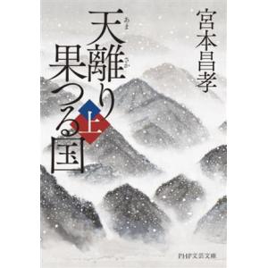 天離り果つる国(上) PHP文芸文庫/宮本昌孝(著者)