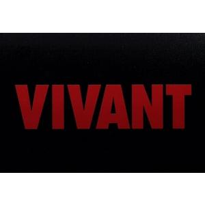 VIVANT Blu-ray BOX (Blu-ray Disc) 堺雅人阿部寛二階堂ふみ二宮和也