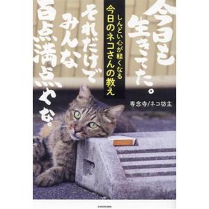 しんどい心が軽くなる 今日のネコさんの教え/専念寺/ネコ坊主(著者)