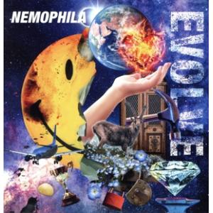 EVOLVE (通常盤) NEMOPHILA - 最安値・価格比較 - Yahoo!ショッピング