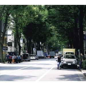 The Ordinary Road(初回限定盤B)(Blu-ray Disc付)/ストレイテナー