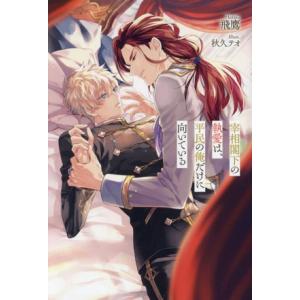 宰相閣下の執愛は、平民の俺だけに向いている アンダルシュノベルズ/飛鷹(著者),秋久テオ(イラスト)