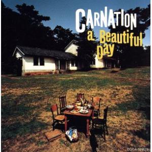 a Beautiful Day/カーネーション　