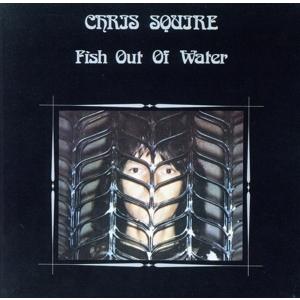 未知への飛翔/クリス・スクワイア