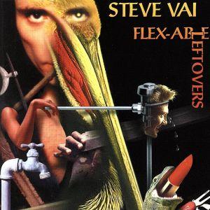 フレクサブル・レフトオーヴァーズ/スティーヴ・ヴァイ