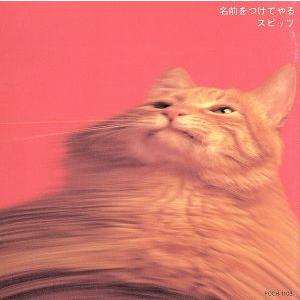 スピッツ Spitz / 色色衣 いろいろごろも 2004.03.17 スペシャル